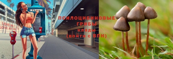 mdpv Балахна