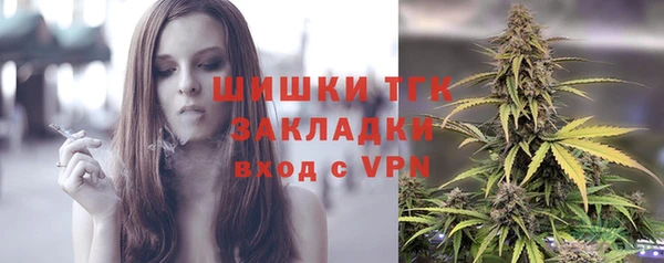 СК Семилуки