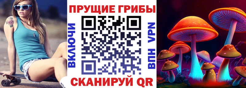 нарко площадка телеграм  где можно купить наркотик  Белорецк  Галлюциногенные грибы Magic Shrooms 