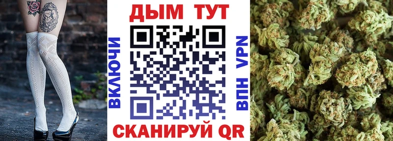 Шишки марихуана семена  Белорецк 